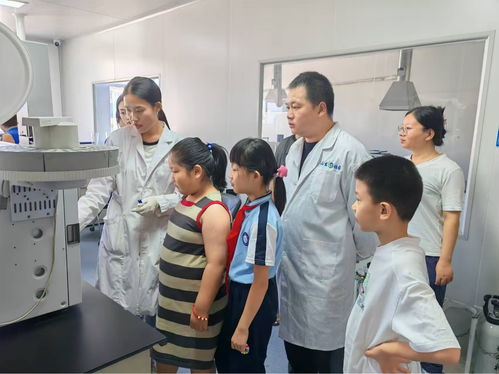 探秘環境監測，共筑綠色家園——山東文登主題活動引領環保新風尚
